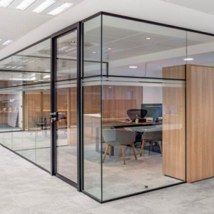 Frameless Glass Partition