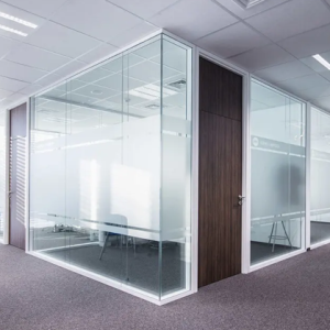 Frosted Glass Partition